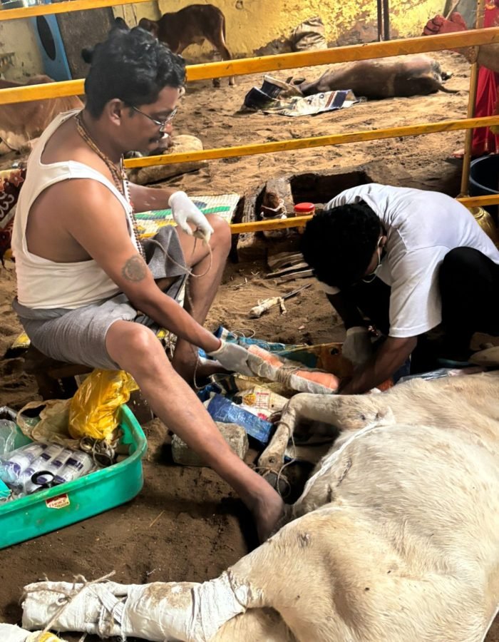 WhatsApp Image 2025-10-21 at 16.51.22 (1)