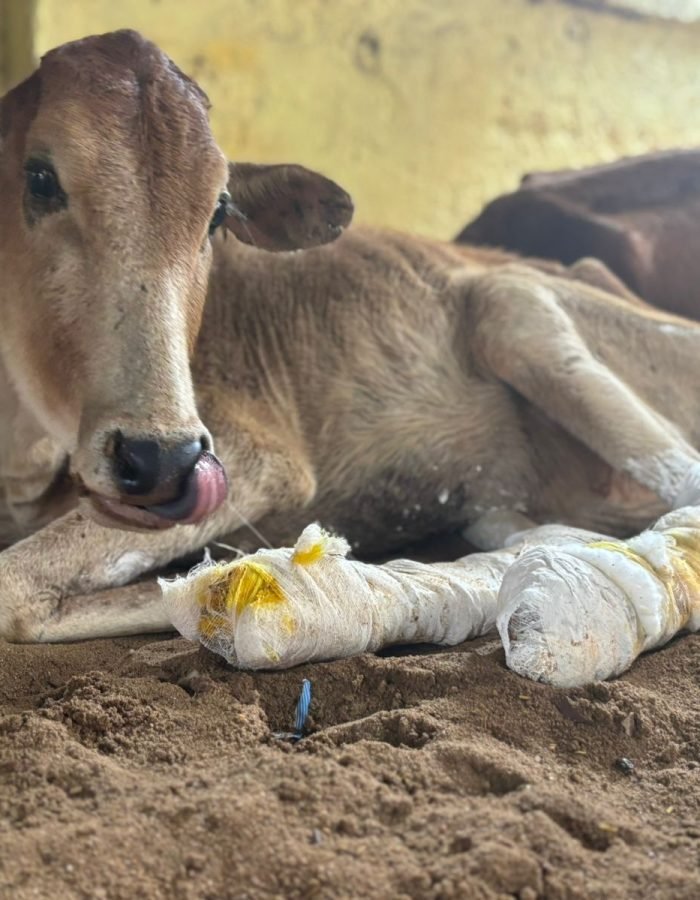 WhatsApp Image 2025-10-21 at 16.51.22