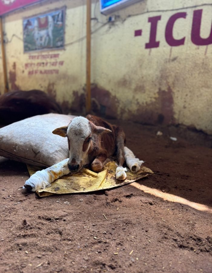 WhatsApp Image 2025-10-21 at 16.51.23