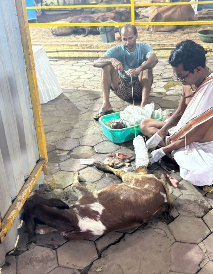 WhatsApp Image 2025-10-21 at 16.51.25