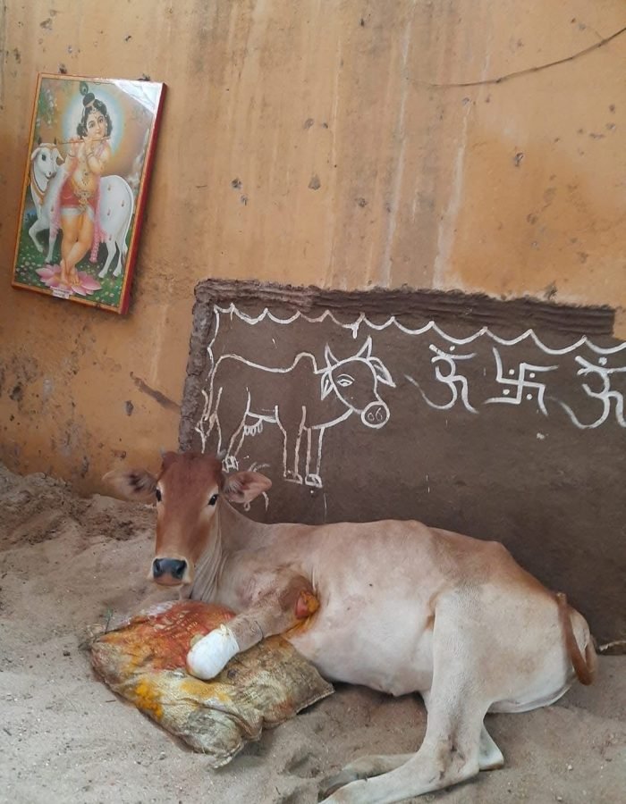 WhatsApp Image 2025-10-21 at 16.51.26