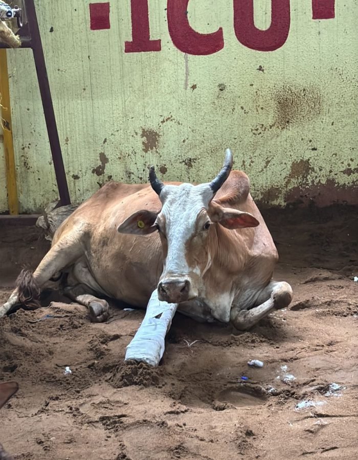 WhatsApp Image 2025-10-22 at 08.11.29