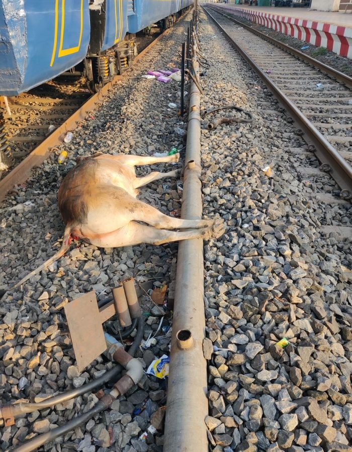 WhatsApp Image 2025-10-22 at 08.11.52