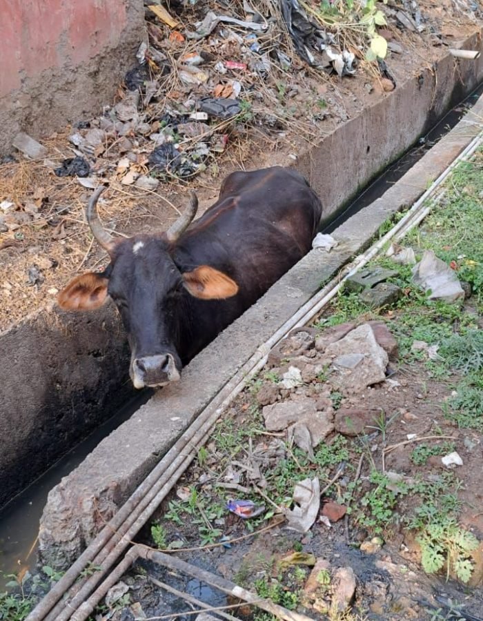 WhatsApp Image 2025-10-22 at 08.11.53